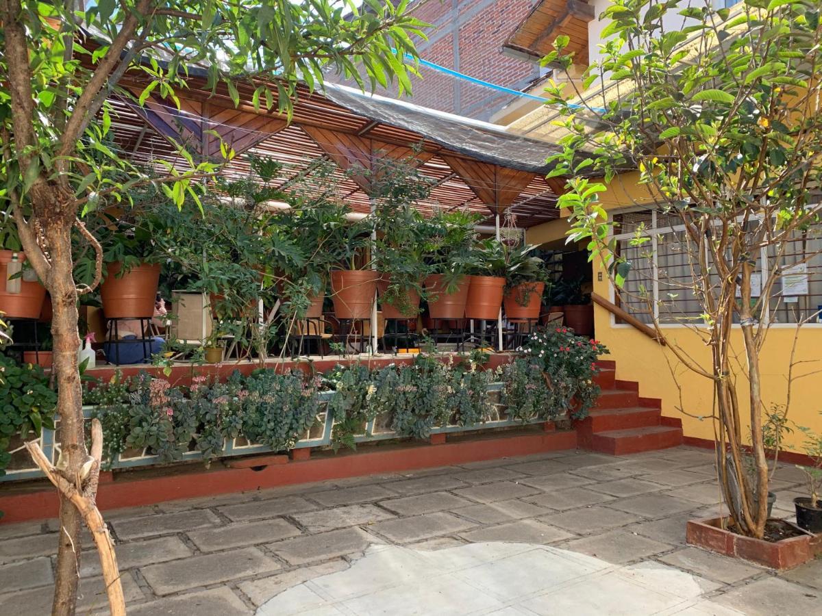 Habitaciones Betito Mazamitla Exterior foto